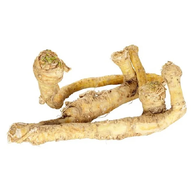 Organic Horseadish Dried Organic Wholesale Hot Wholesale Hot Food Seasoning  Whole Single
