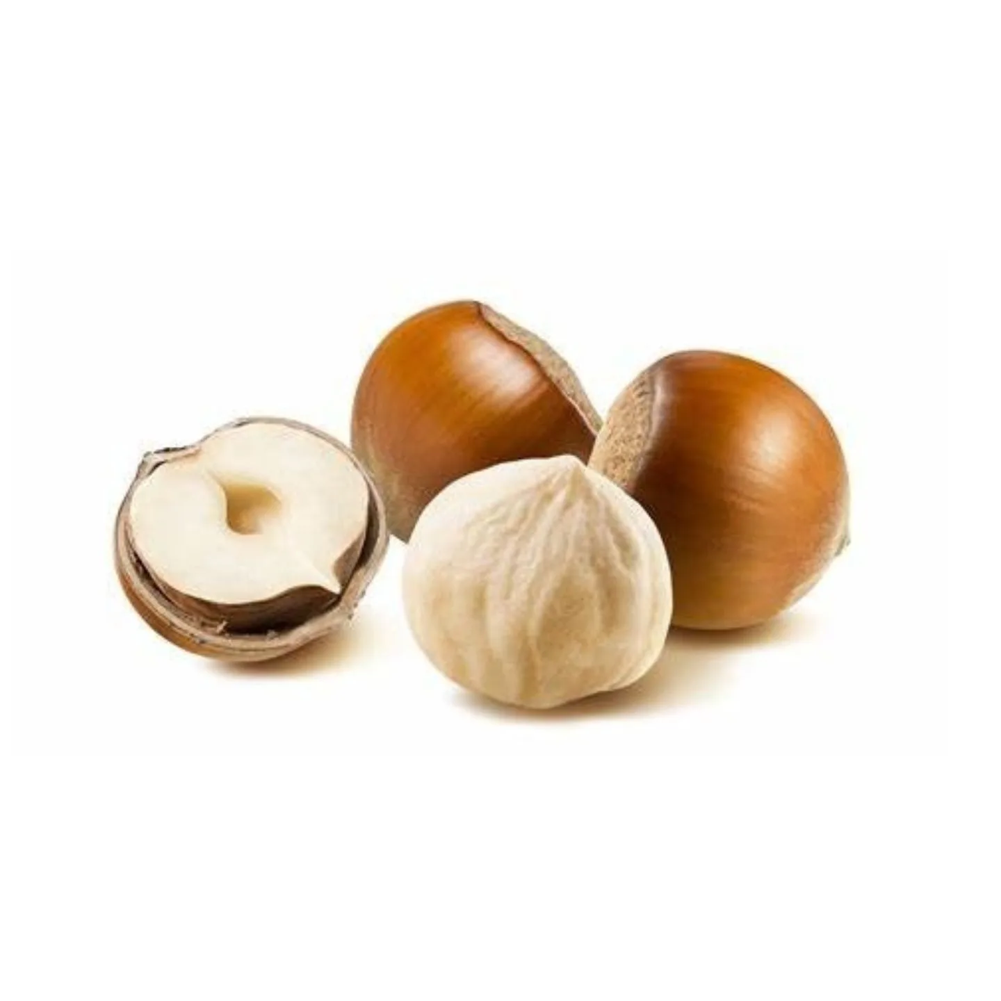 Roasted Hazelnuts Blanched Hazelnuts Organic Dried Hazel Nuts