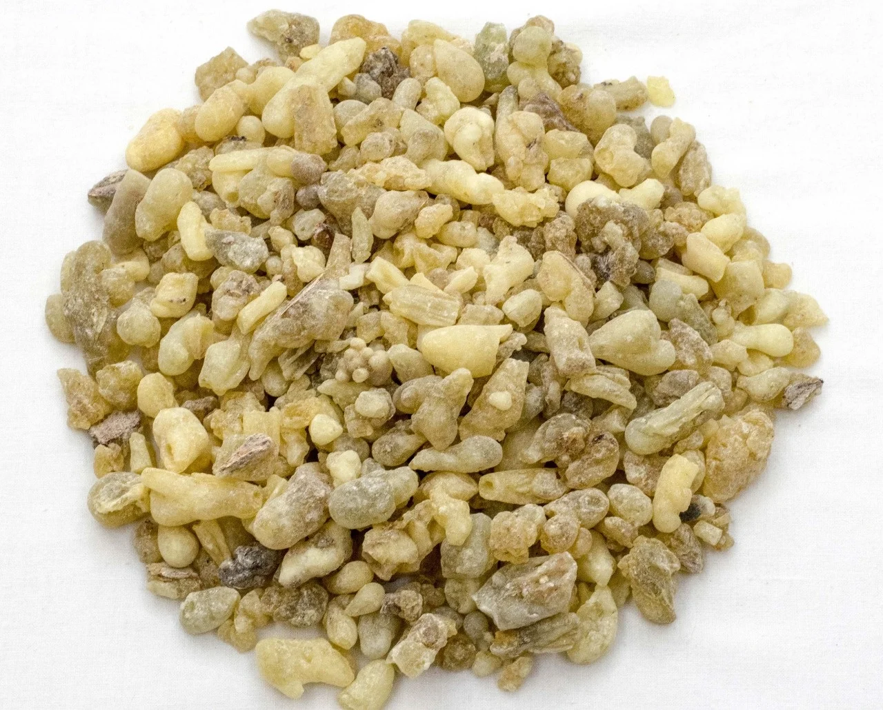 Sandarac Resin - Gum (Tetraclinis articulata) Atlas Morocco