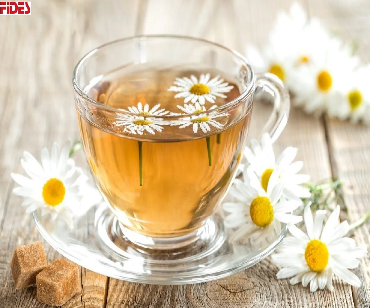 Organic Premium Quality natural Flavoured Chamomile Flower Leaf Tea from India