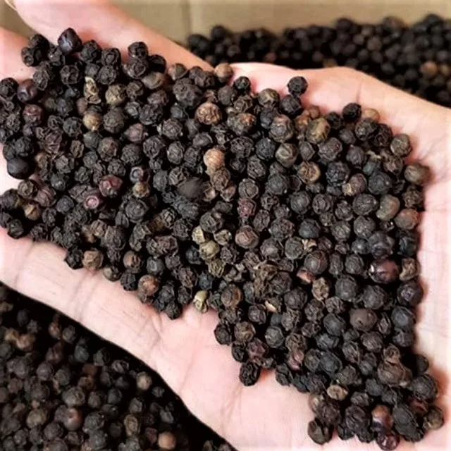  Лучшая цена черный перец Вьетнам готовый к отправке