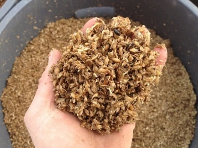 Wholesale beer residue/ brewer yearst powder/ beer residue powder +84 896626401