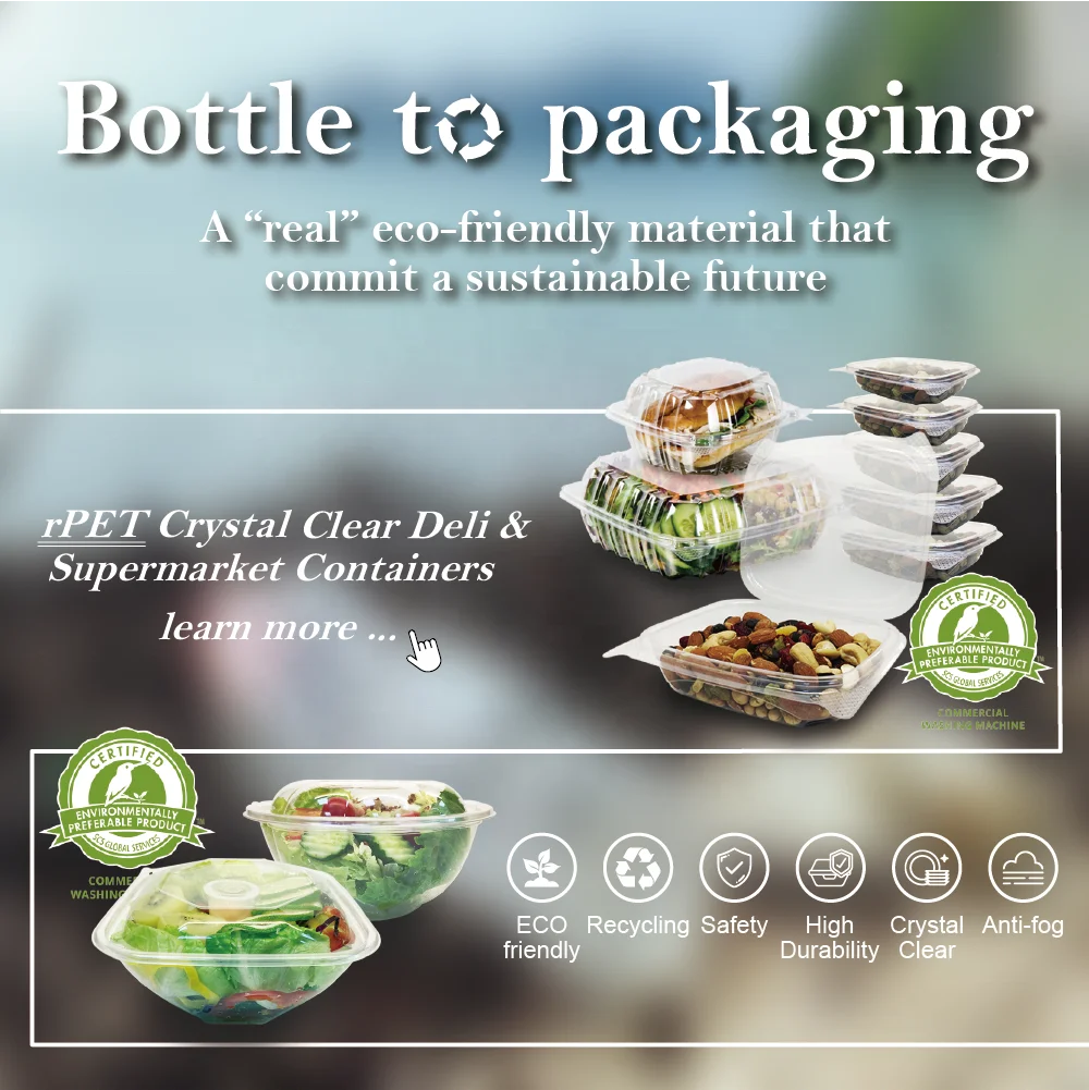 
high quality disposable divided plastic pet clear salad bowl 