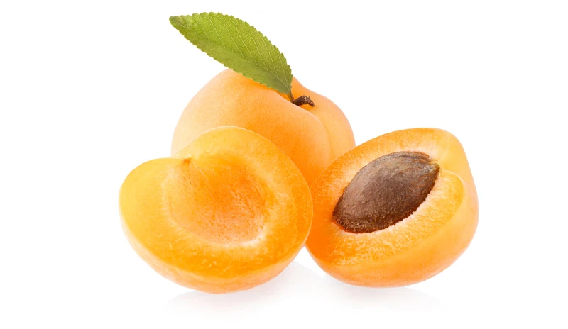 Factory Wholesale Yellow Premium Sweet Natural Fresh Apricots