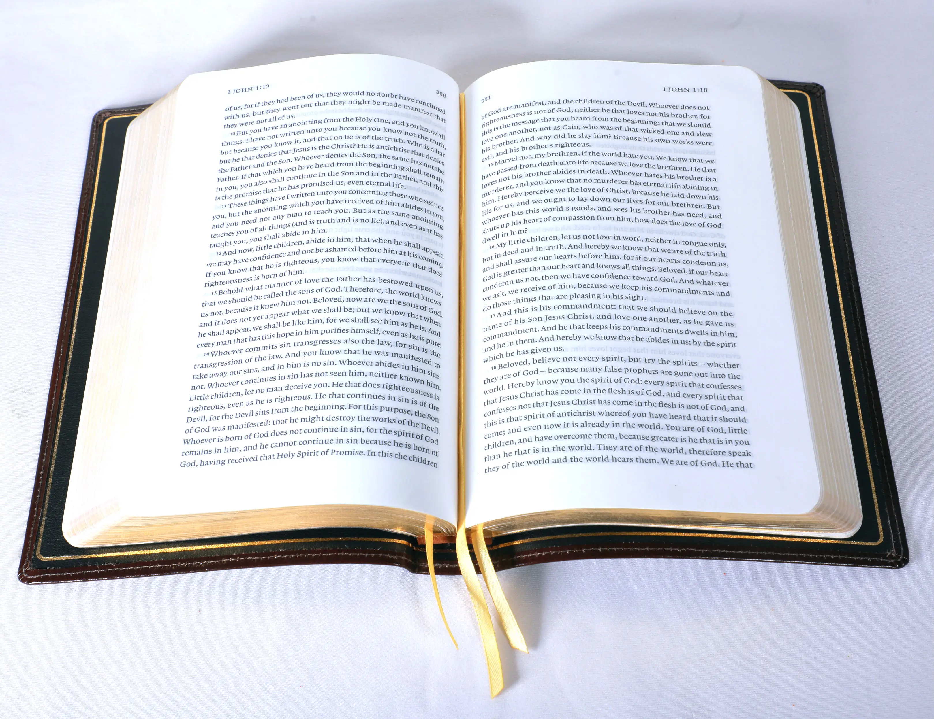 Bible /Genuine Leather Cover/ Bible Printing/ Hot Foil Stamping/ Blind Embossing/ Gold Edge Gilding