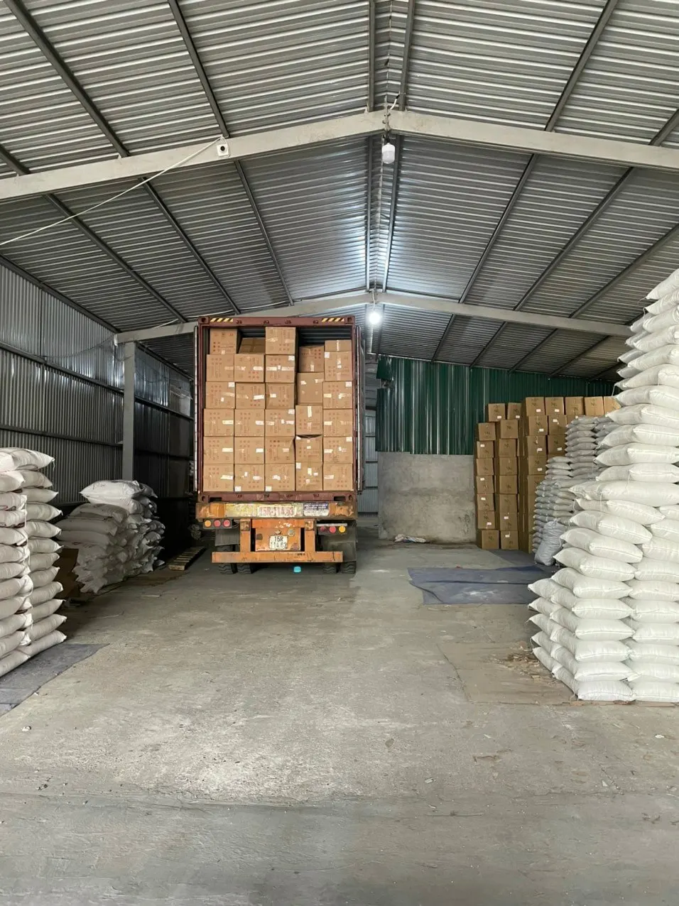 Dried Shiitake Mushroom Fungus Stem/ Wholesale Shiitake Mushroom from Vietnam with The Best Price Ms. Lily +84 906 927 736