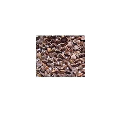 
Great quality organic buckwheat seeds 