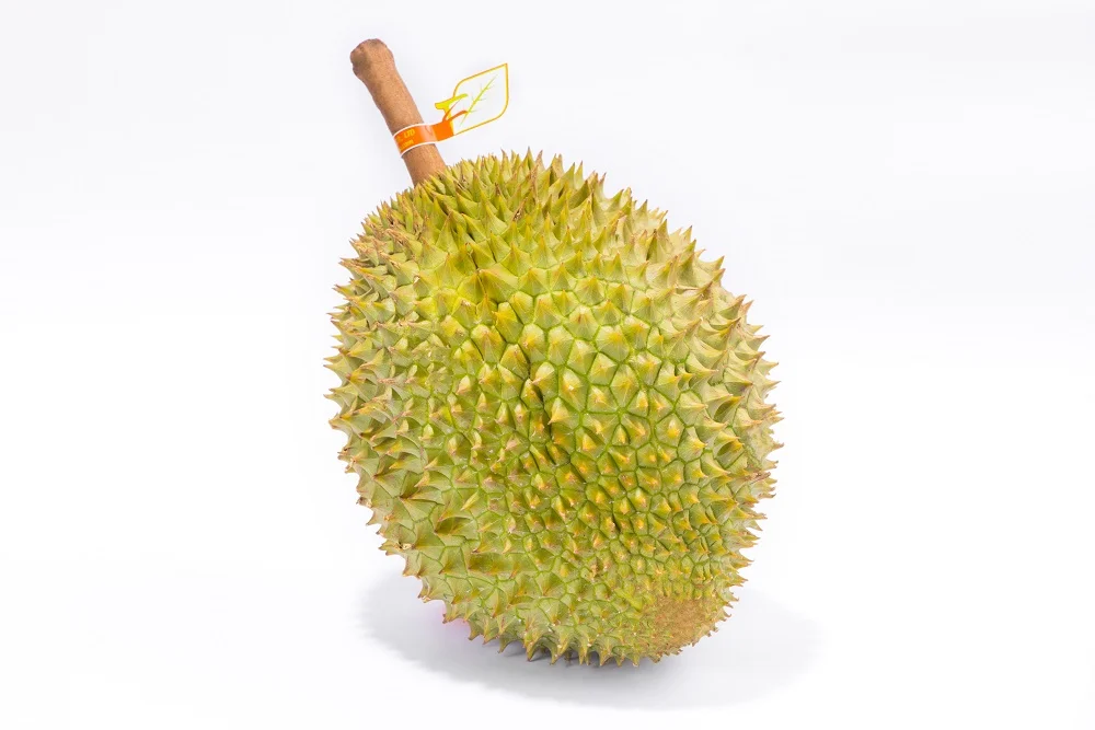 Monthong Variety Carton Box Packaging Yellow Common Cultivation Type Sweet Taste Durian Export From Vietnam