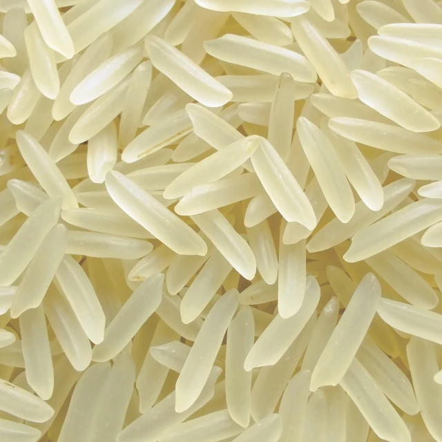 sugandha white Sella Rice
