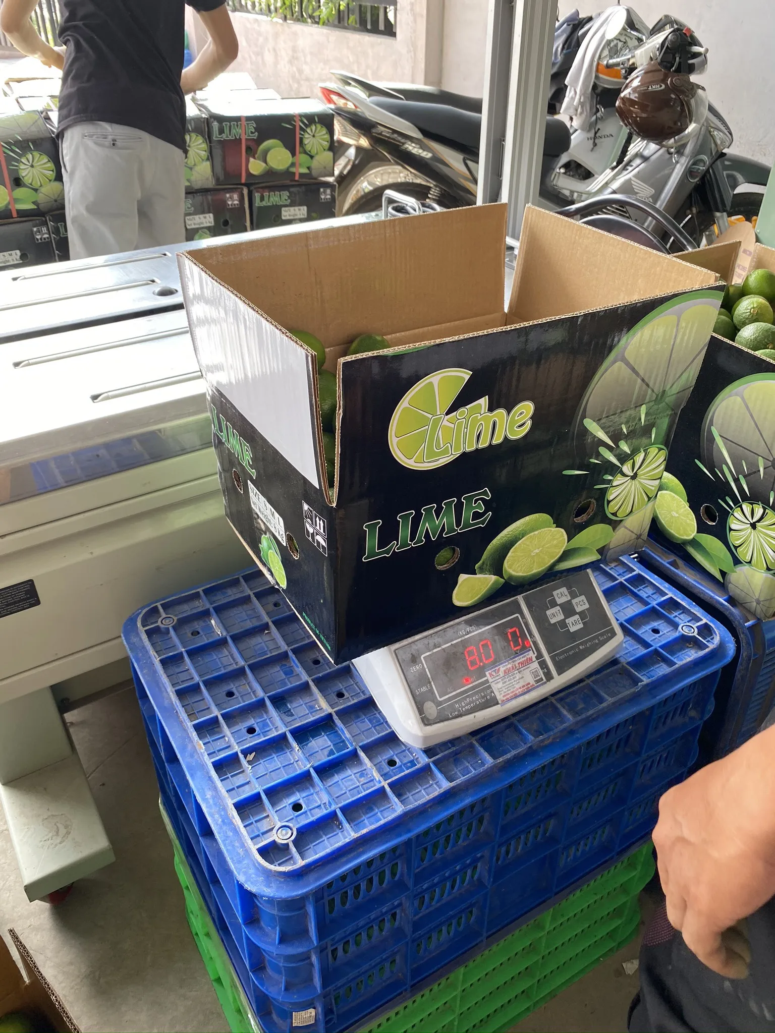 Green Sour Lime Fresh Citrus Fruit/ Fresh Lemon Seedless WA: 0084 387 264 621