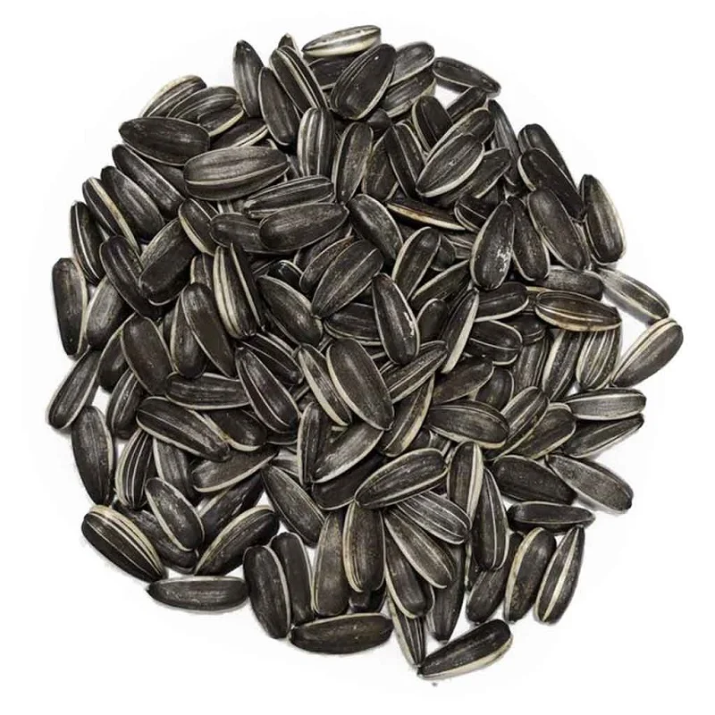 Excellent quality Sunflower Seed kernels /organic sunflower seeds