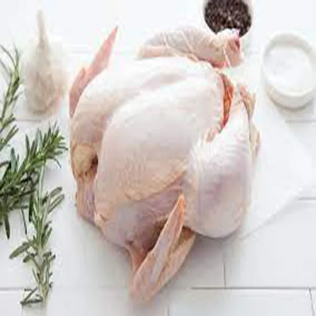 Nutritious Halal Freshly Frozen Chicken Wings Halal Premium Top Quality For Sale