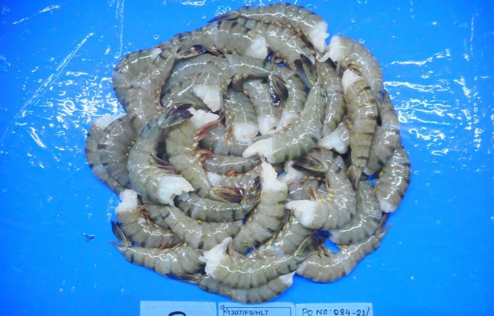 FROZEN HLSO BLACK TIGER SHRIMPS BEST PRODUCT EXPORT INDIA