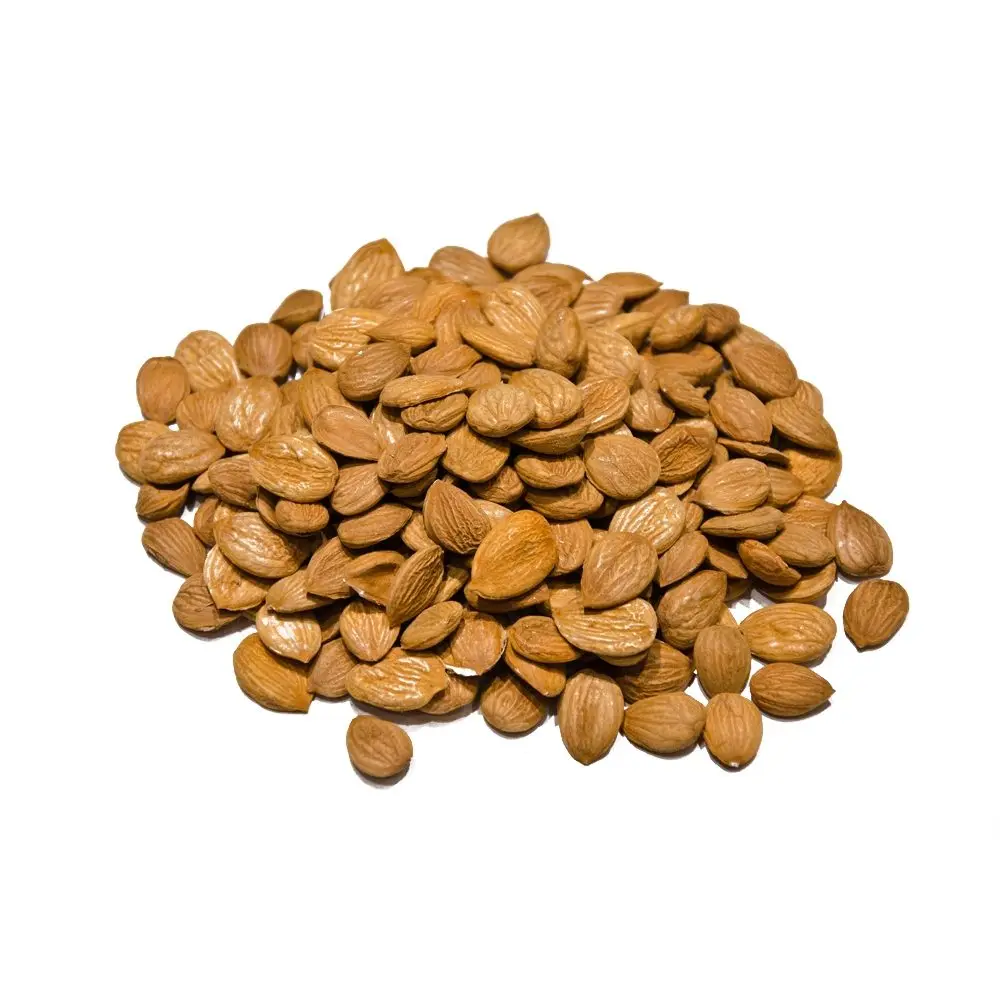 WHOLESALE SWEET APRICOT KERNEL