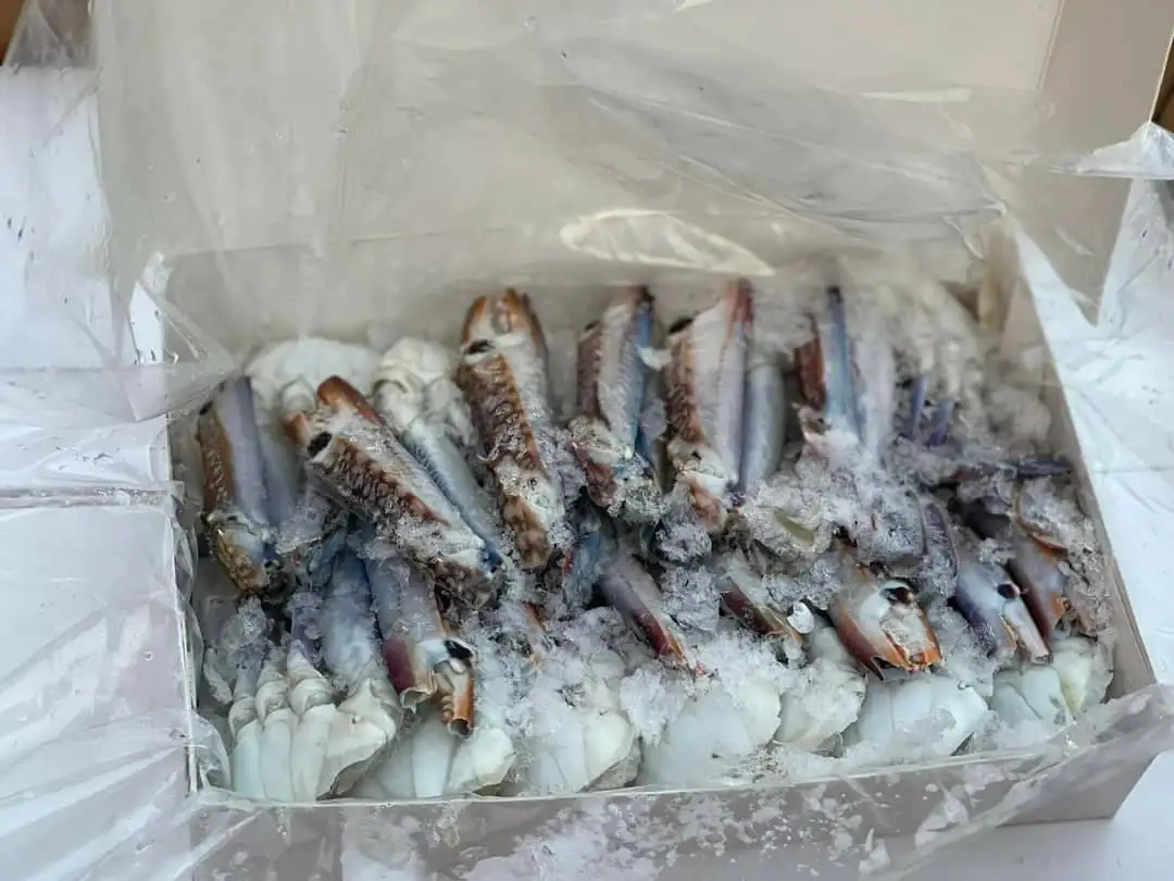 Crabs Frozen Fresh Seafood Premium Products High Quality from Thailand for 100% Export Wholesale ready to ship