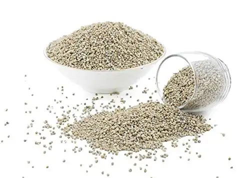 green millet supplier in india