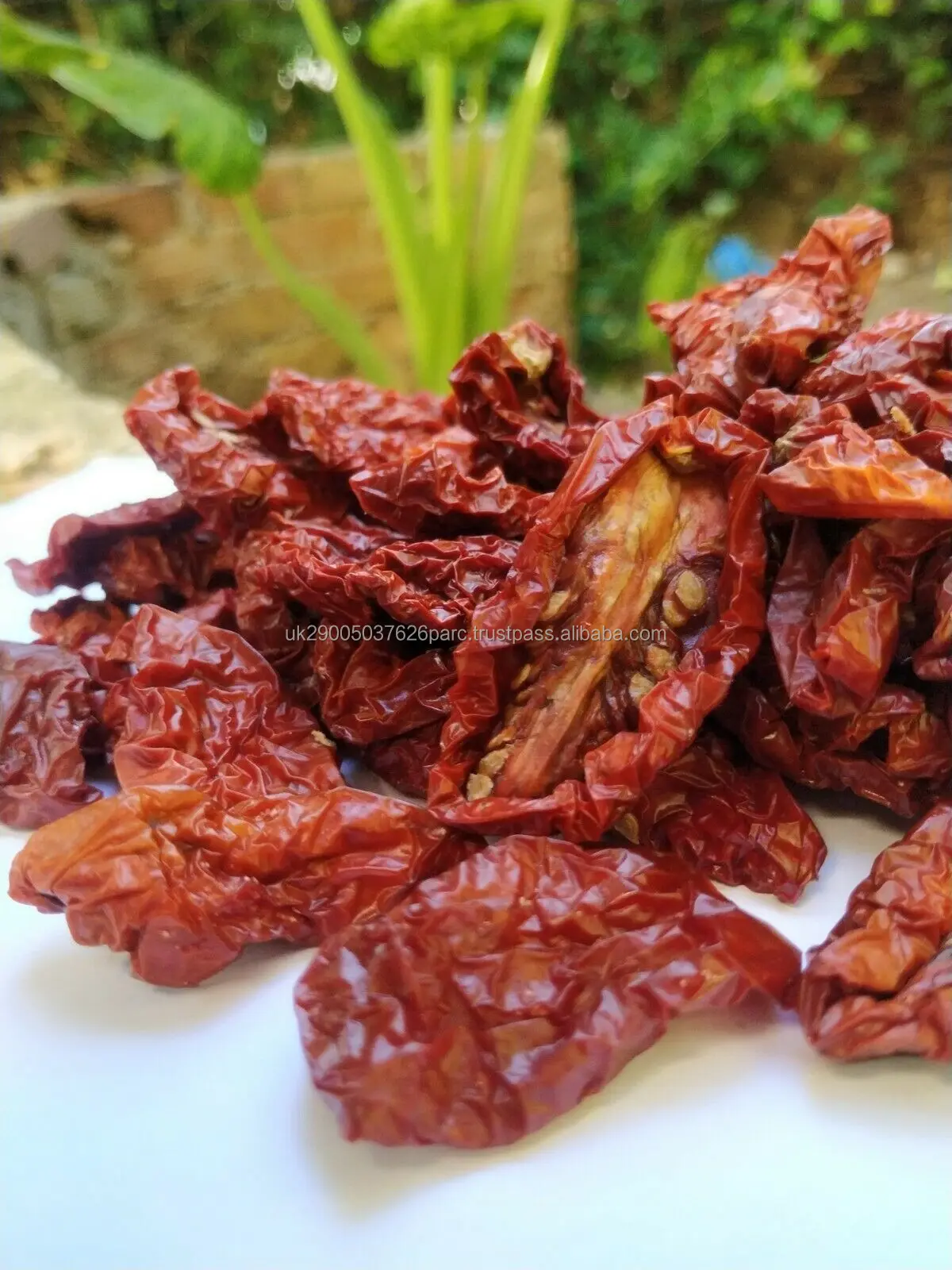 Organic Sun-Dried Tomatoes with Sea Salt by Food to Live (Kosher, Unsulfured)