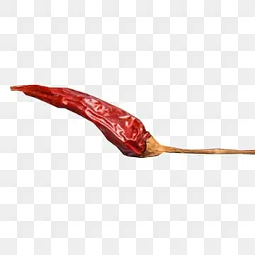 Cheap price 100% Dry Organic Pepper Chili From Vietnam Agri Dry Chili Red Dried Wholesale