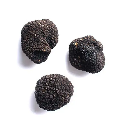 
Fresh Wild Black Italian Truffles 