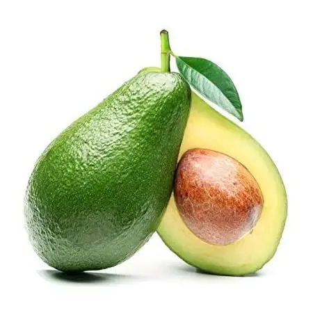 
High-quality Prices Fresh Sweet Hass Avocado from South Africa 