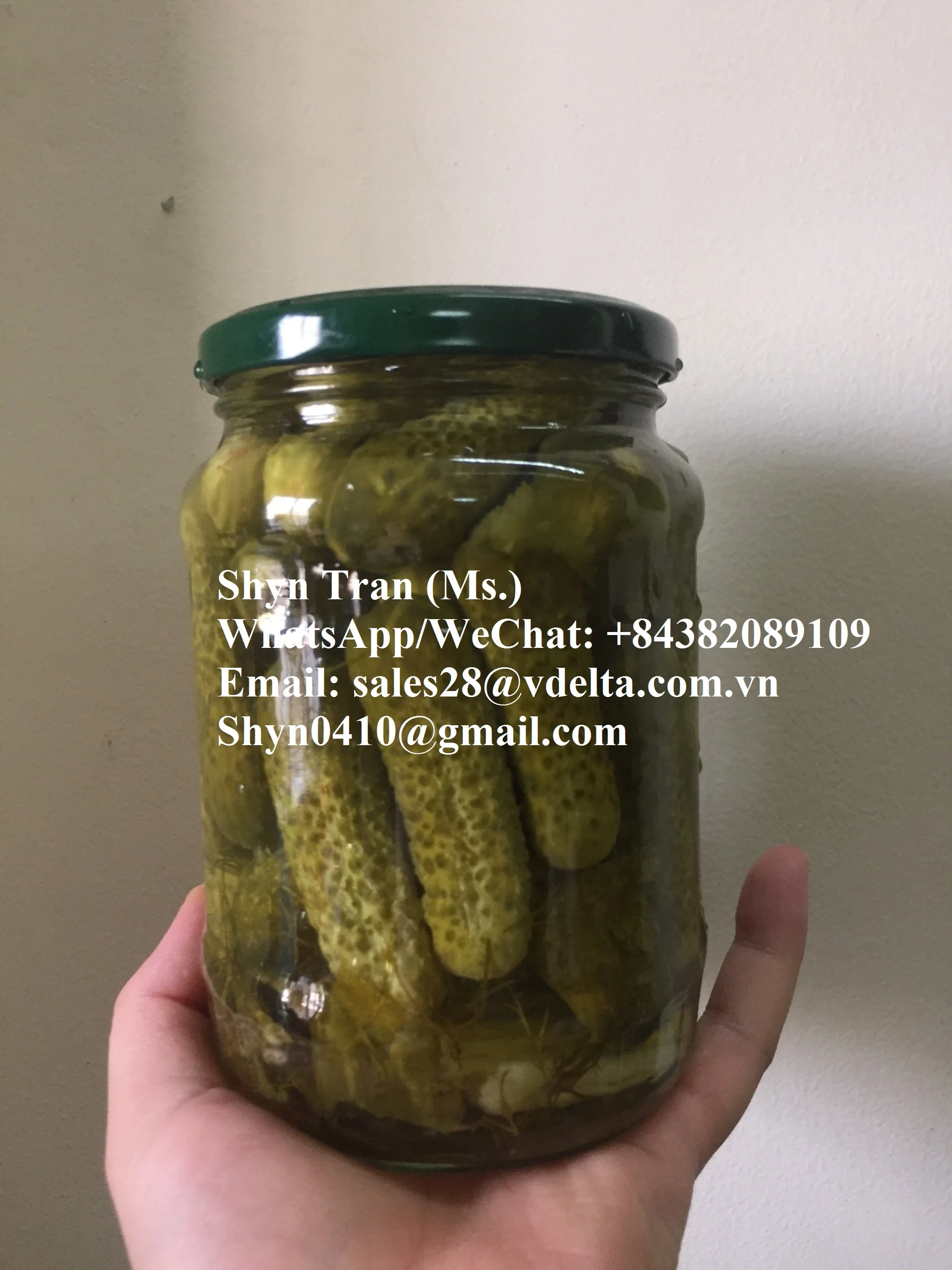 Pickled Baby Cucumber // Gherkins, Cornichon //Shyn Tran +84382089109