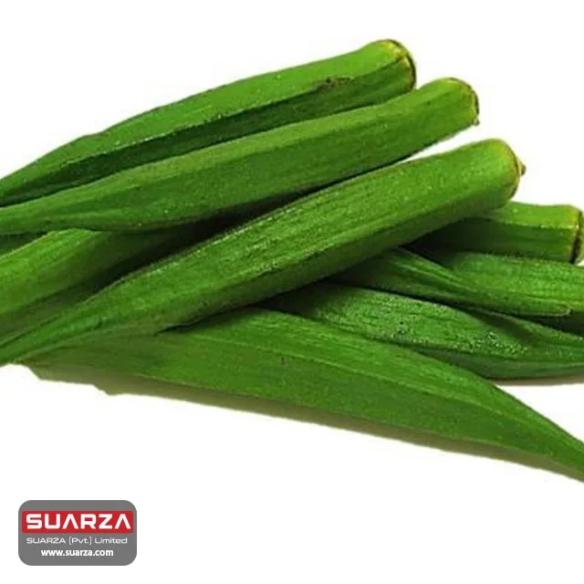 
Pakistani fresh green okra (lady finger) is exported to all over the world at competitively low market price  (10000000176882)