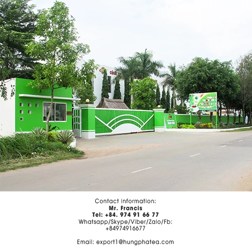 
High Quality Vietnam Private Label Seaweed Tea 