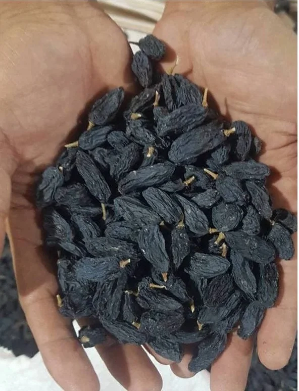 Урожай премиум-класса оптом из Узбекистана 2021, пакеты 25 кг, органические сушеные фрукты, Черный Изюм