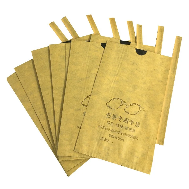 Manufacturer supply wholesale Bangladesh fruit paper bag mango growing bag fruit protection growing bag