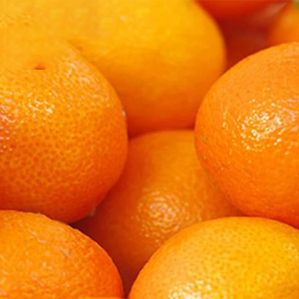 fresh mandarin orange/Citrus fruit Kinnow orange from Pakistan 100% Sweet