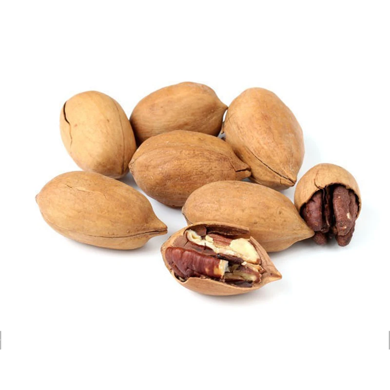 Dried Cheap Wholesale pecan halves pecan nuts on sale