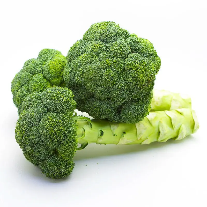 2021 High Quality Fresh Broccoli factory price