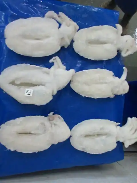 Top quality Cuttlefish  whole cleaned , Individual frozen cleaned cuttlefish from India, whole cleaned frozen cuttlefish IQF