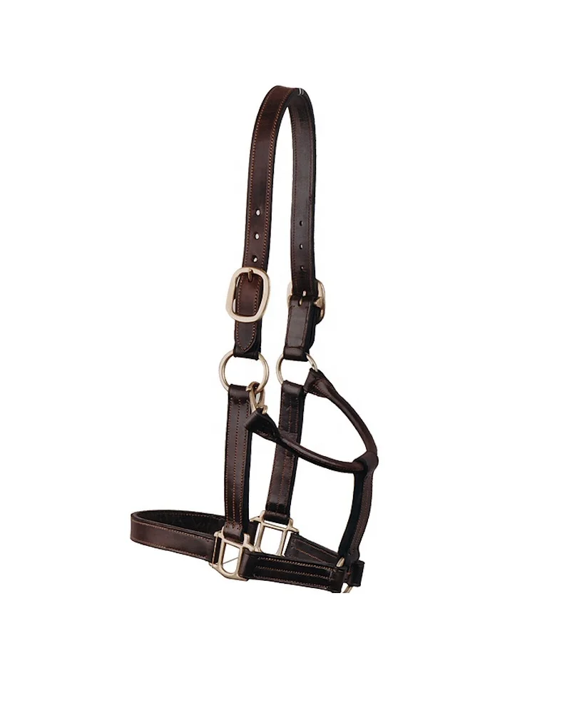 leather halter