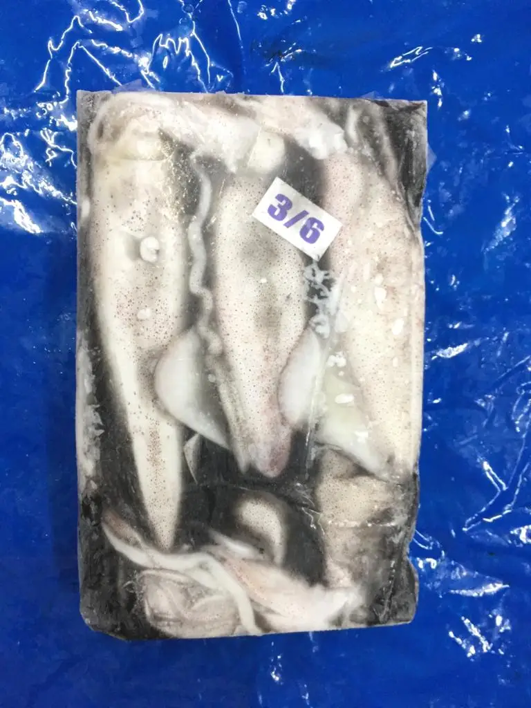Замороженный лолиго кальмар из Индии замороженный блок