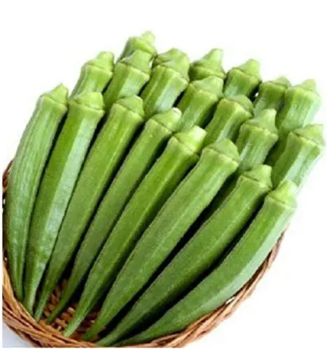 Fine Quality Fresh Green Lady Finger / Okra / Bhindi /  Wholesale Cheap Price Seller From India Indian vegetable Seller .