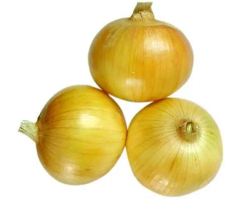 
Nashik red onion with good taste and yellow onion 