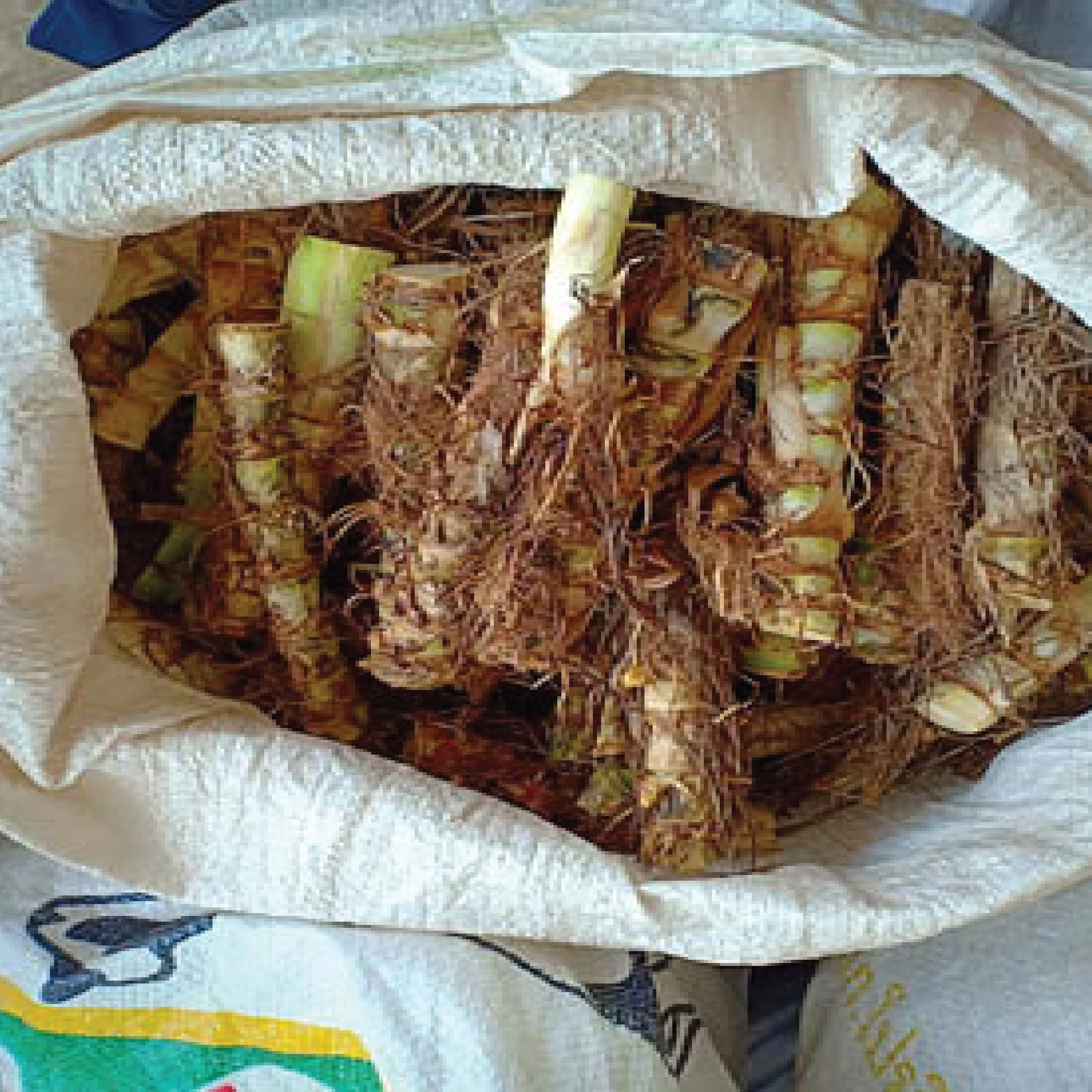 
Farm Animal food Nepia Grass High quality from Thailand 