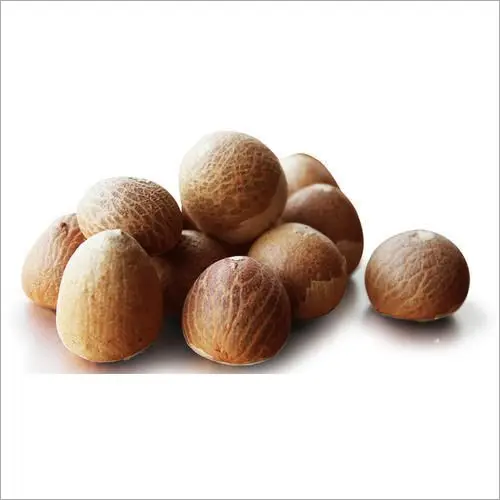 100% DRIED OF BETEL NUT ALL OF KINDS