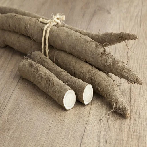 Natural High-Quality Fresh Burdock wholesale best price From South Africa