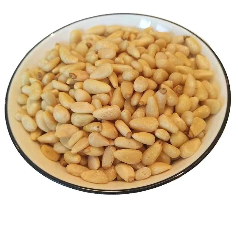 China Processing Plant Hot Selling Pine Seed  Pine Nuts Kernels