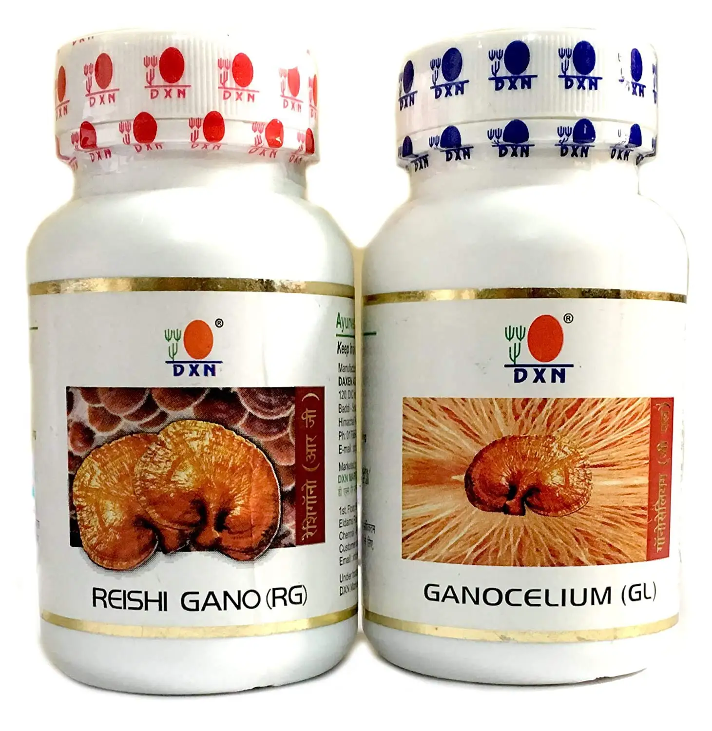 Dxn Reishi Gano And Ganocelium Capsules - Rg and Gl (90 Capsules)