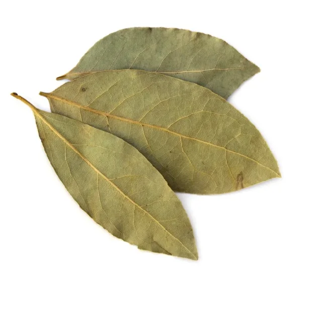 Organic Bay Leaf Dried Organic Wholesale Hot Wholesale Hot Food Seasoning Whole Single