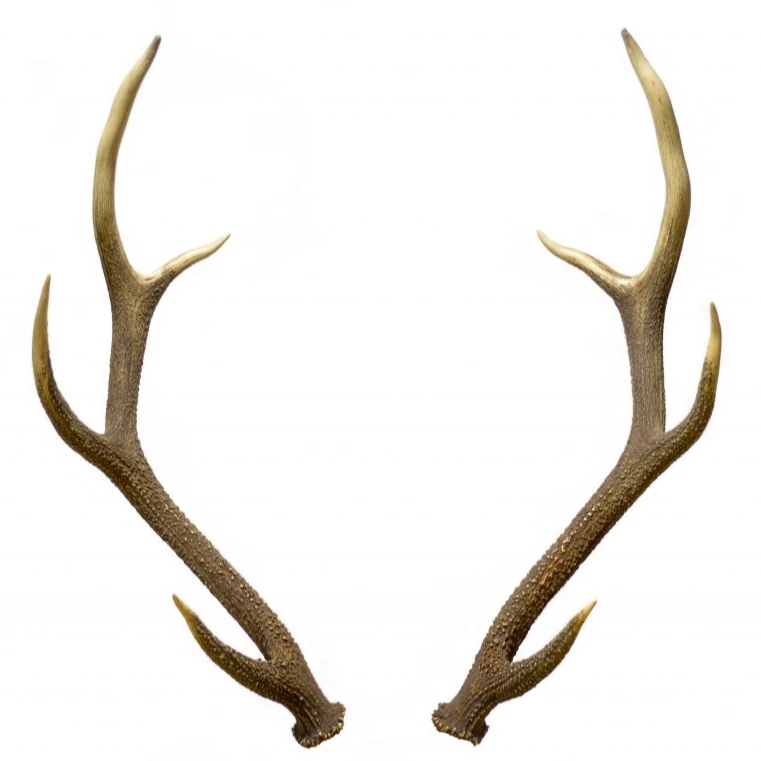 Олени Whitetail олени пучок