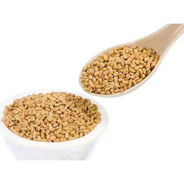 Производители высококачественных семян пажитника Индия глобальная торговля домами надежное название специй