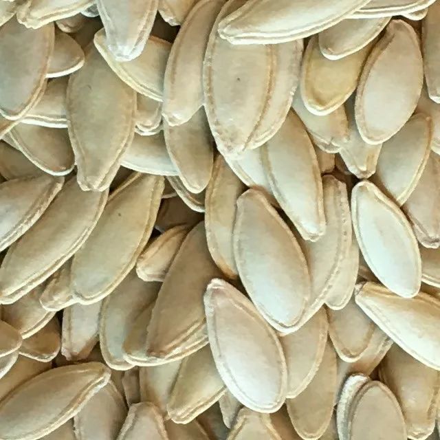 Bulgarian Pumpkin Type Seeds Lady Nail 6+ for Sale Inshell Yellow Pumpkin Seeds Raw Material Wholesale Packaging Snack New crop