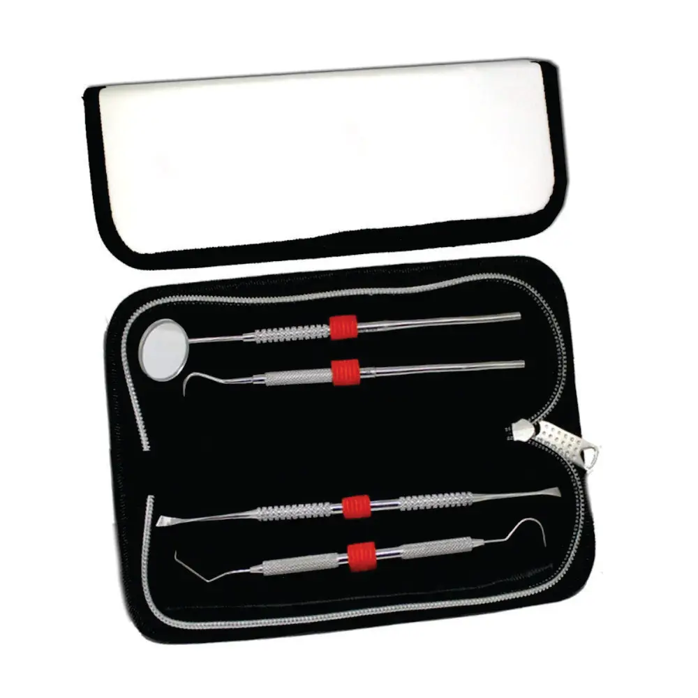 Stainless Steel Dentist Tools Dental Instruments Surgical Dental Hygiene Kit