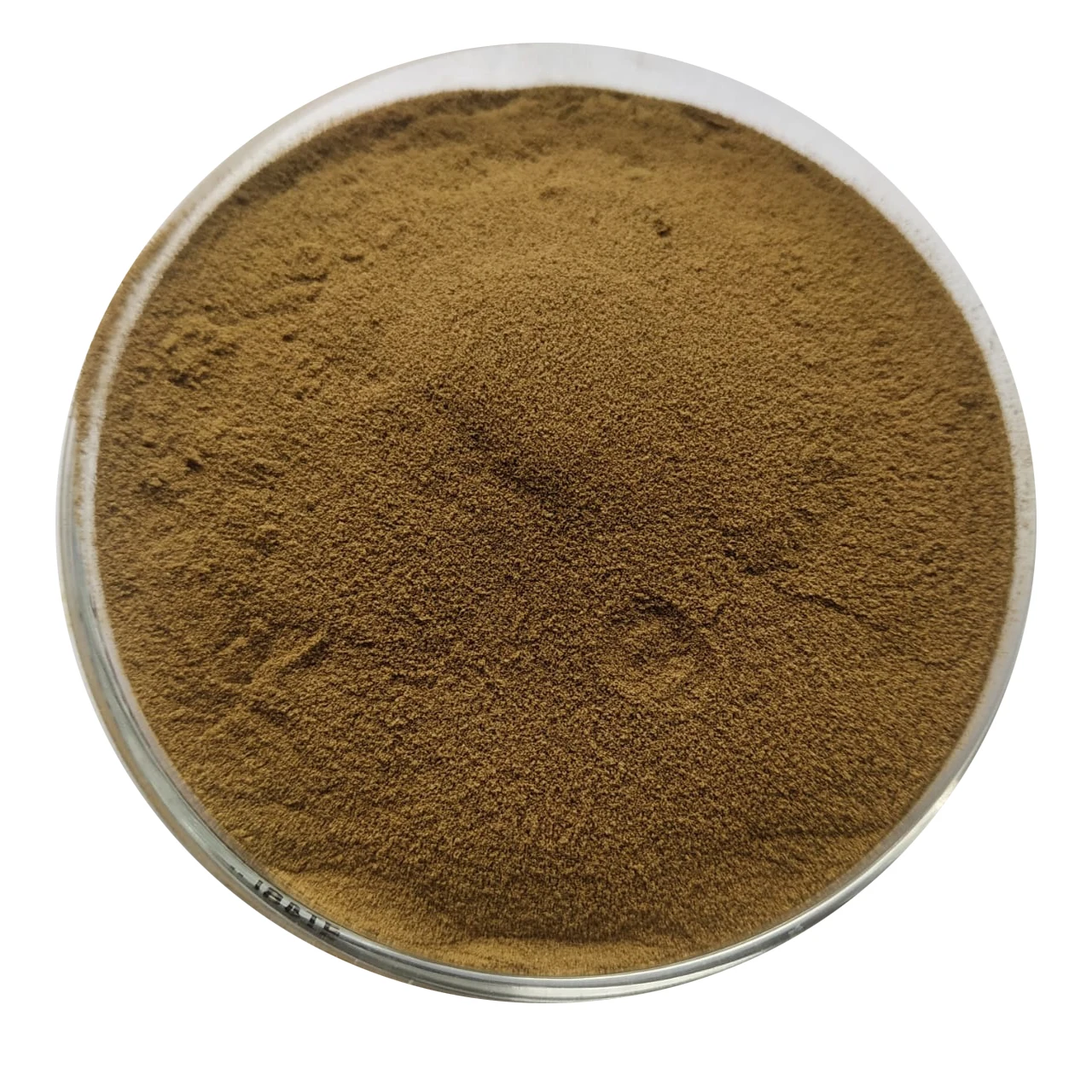 
Wholesale High quality Tribulus terrestrosin extract for chest pain and heart problem 