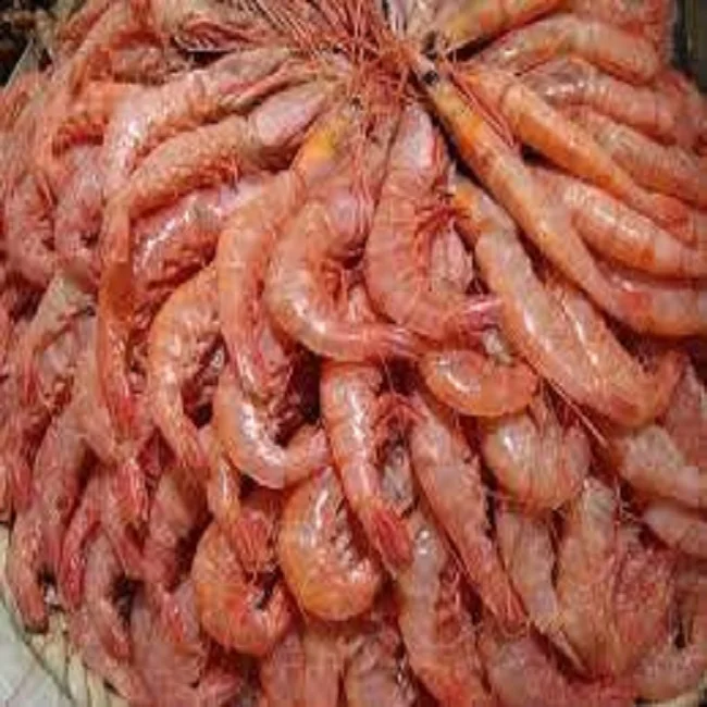 Processed Jumbo Prawns - Fresh Frozen Shrimp - PUD