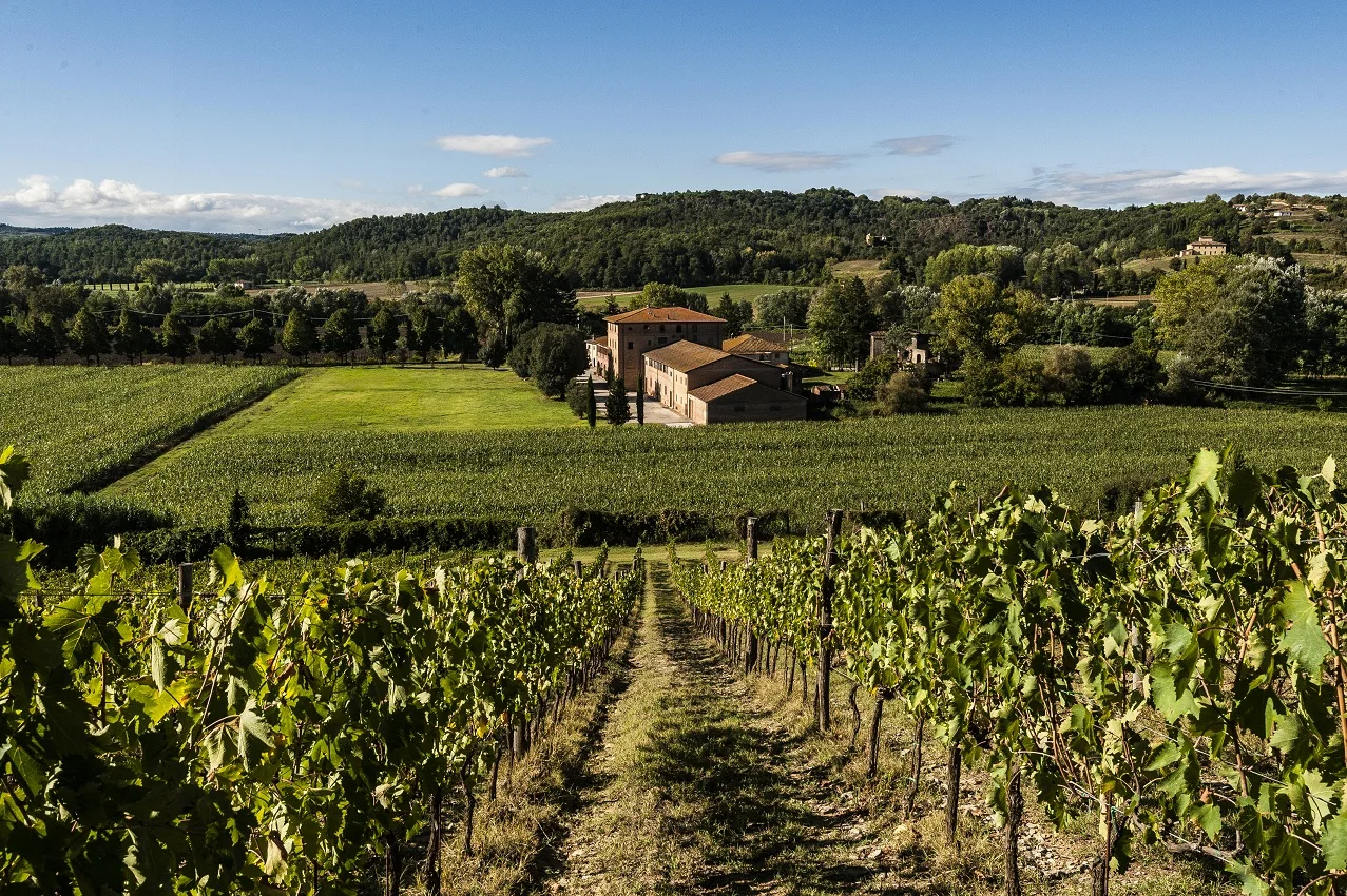 Mix 2 bottles: Chardonnay 2016 and Red igt wine 2014  - Welcome order